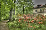 tannenfeld-sommer 2012-049